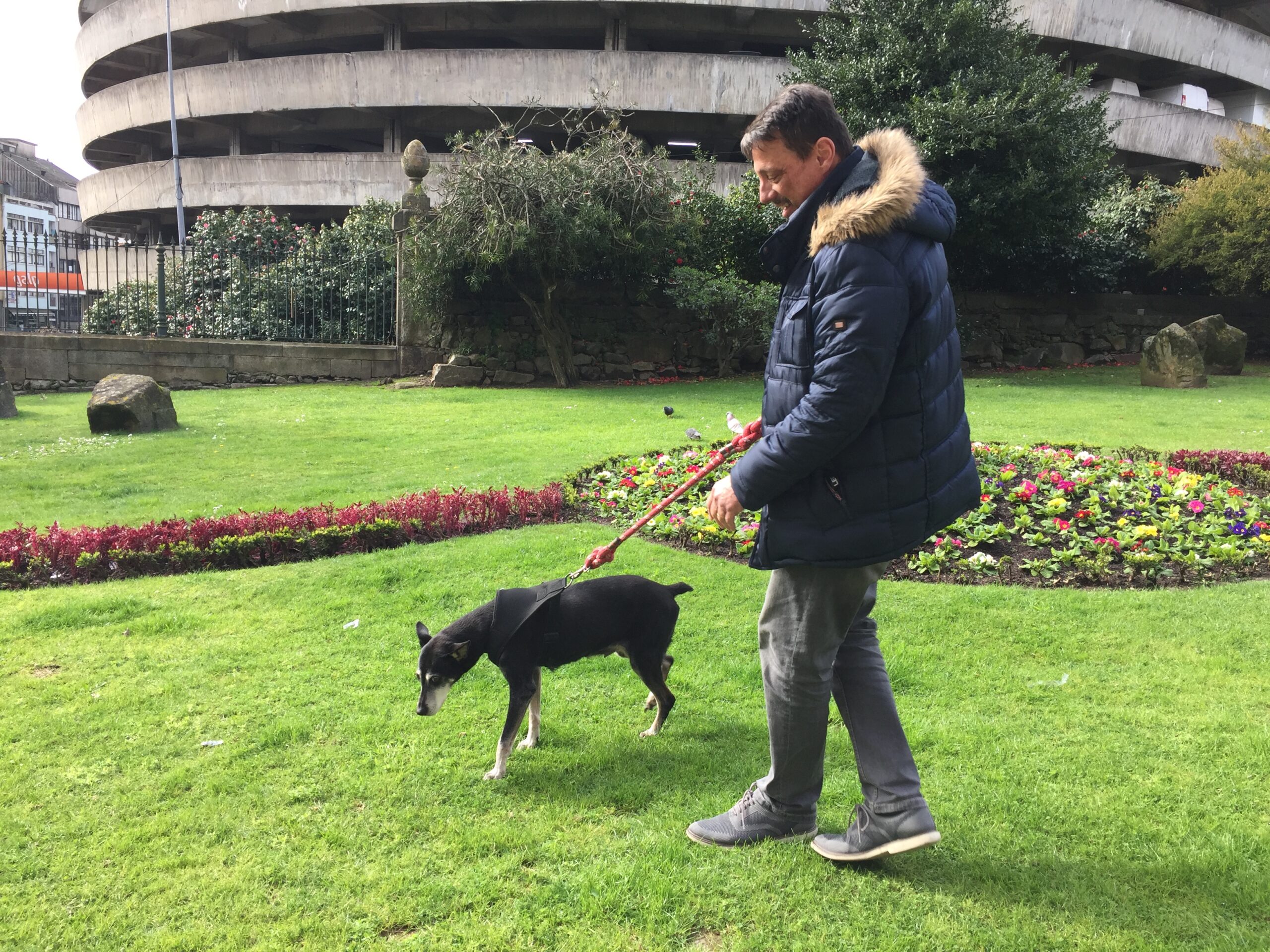 Dr. Luiz Ribeiro caminhando com Bisteka no parque